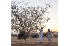 Image Men under tree